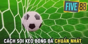 Cách soi kèo bóng đá chuẩn